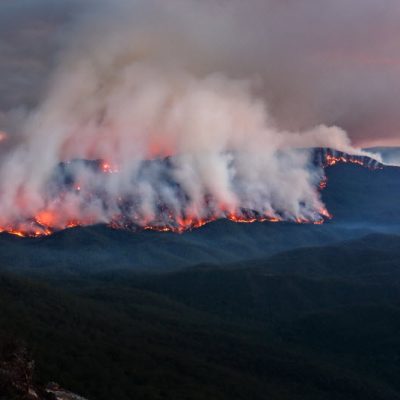 How to Prepare Your House for a Bushfire