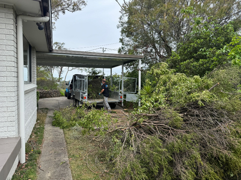 Rovs-Green Waste Removal
