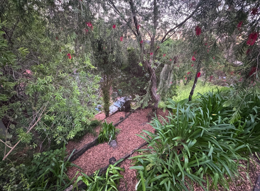 A winding garden path covered in reddish gravel, bordered by lush green plants and low stone edges, with overhanging trees and red blossoms above.